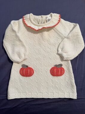Max Studio Knit Pumpkin Dress